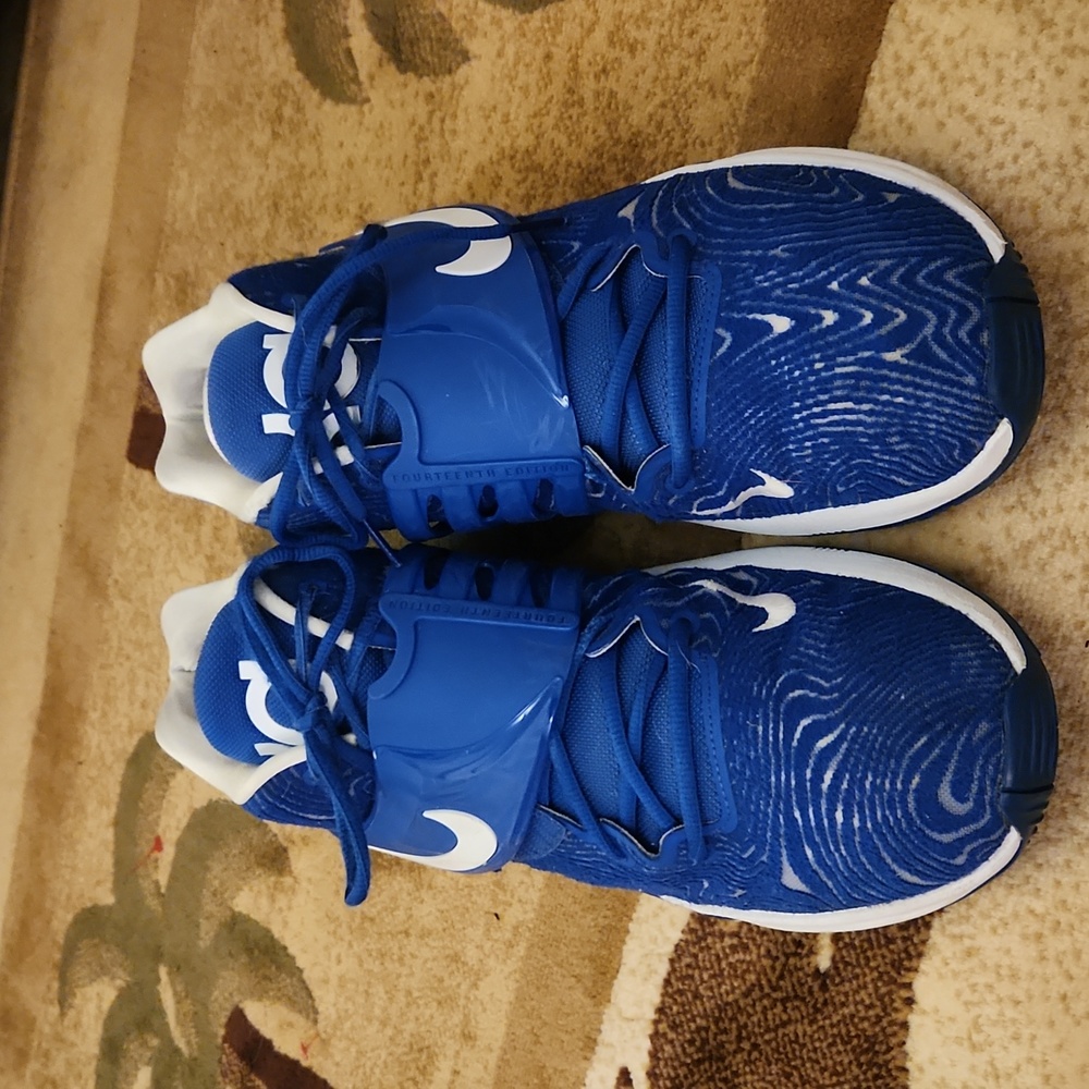Nike KD 14 TB Promo mens game royal blue - Picture 4 of 16